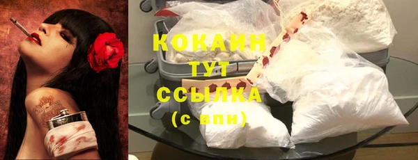 индика Абдулино