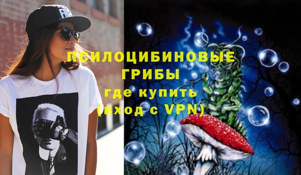 индика Абдулино