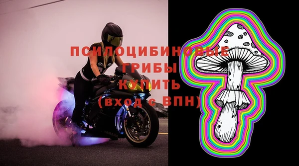 индика Абдулино